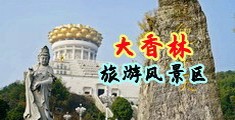 国产房东骚妇中国浙江-绍兴大香林旅游风景区